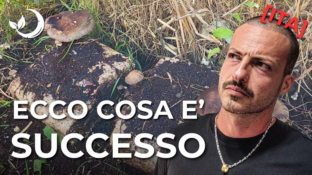 ❄️ Orto Invernale – Fase 1: Pulizia, Preparazione, Semine e Primo Raccolto