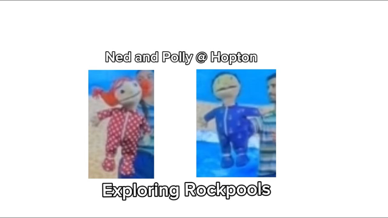 Haven Holidays Hopton: Exploring Rockpools With Ned and Polly