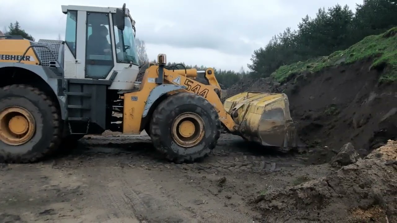 Ładowarka kołowa LIEBHERR L544, 4x4 (15.3 t) na aukcji Flotilo.pl (1)
