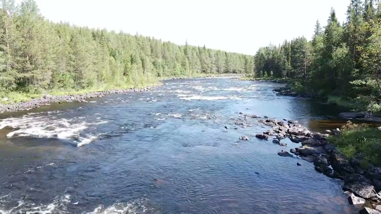 Nedre Dal&auml;lven