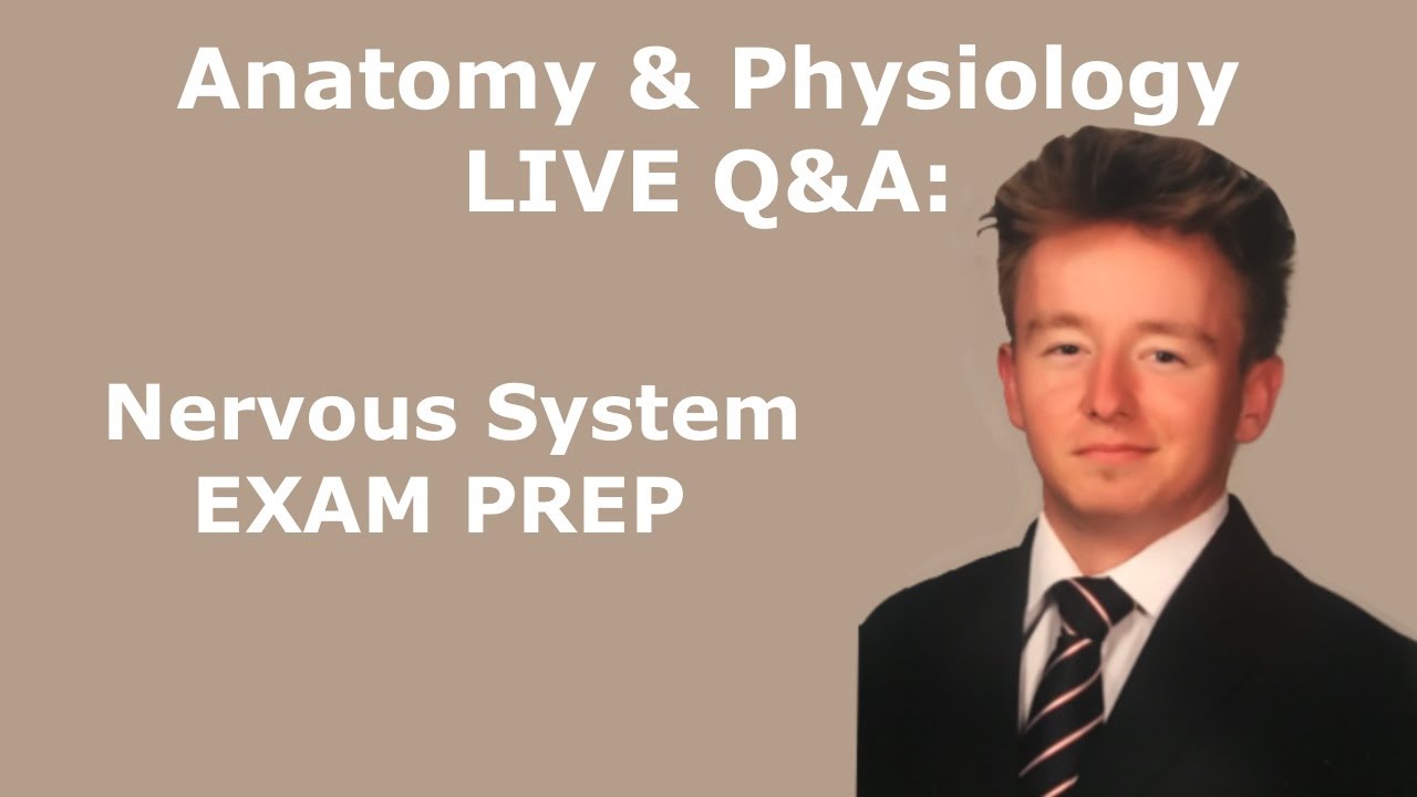 4/24/25 Anatomy & Physiology LIVE Q&A: Nervous System Exam Prep
