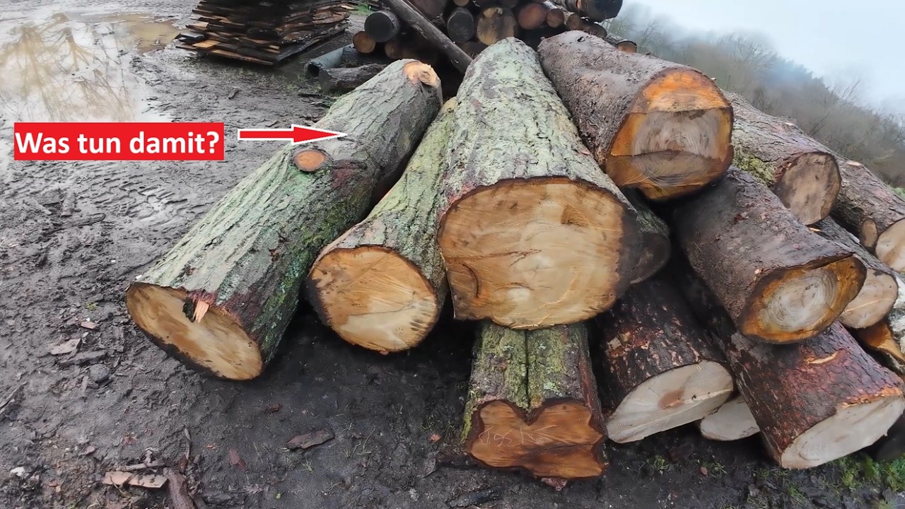 Dicke Lindenstämme fürs Sägewerk – was macht man aus solchen Stämmen?