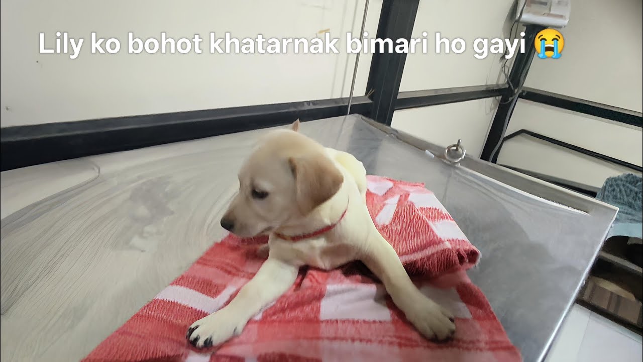 God save her please 🙏🥺😭