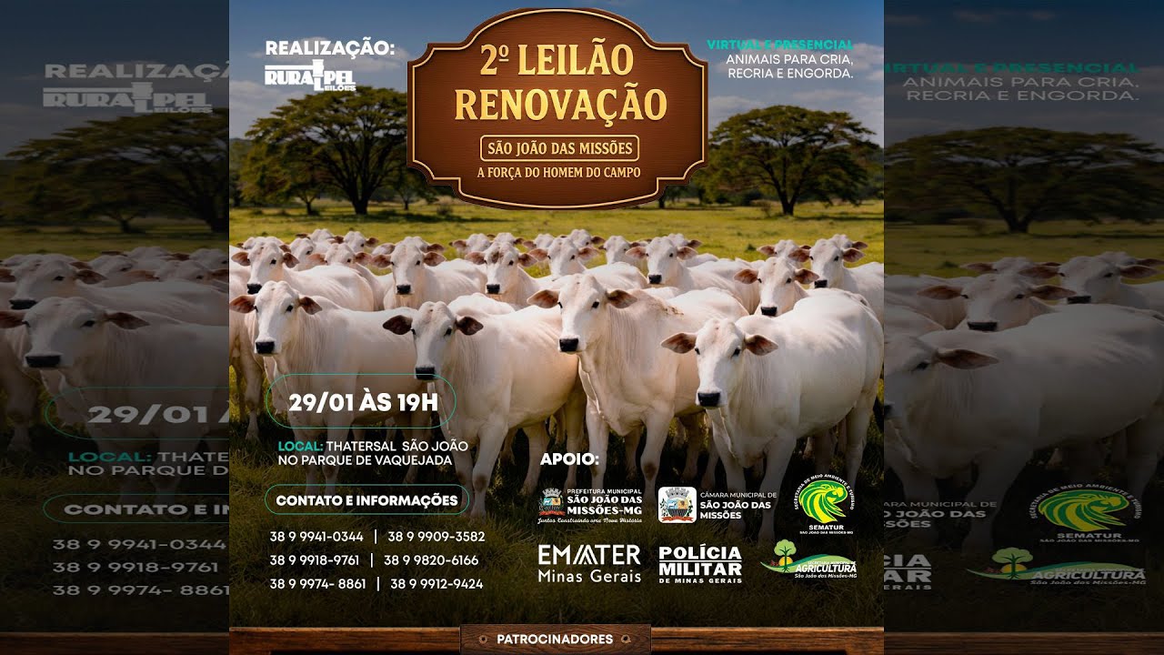 2° Leilão Renovação ( SÃO JOÃO DAS MISSÕES  )