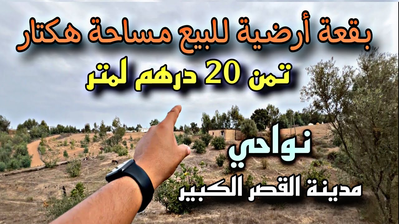 #Avito_ksar_El_Kebir بقعة أرضية للبيع تمن20 درهم لمترو مساحة هكتار