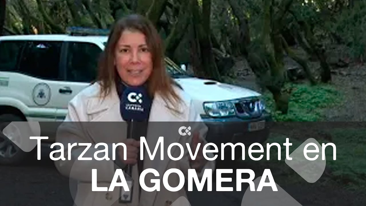 Agentes forestales en La Gomera impiden el 'Tarzan Movement' en el Garajonay
