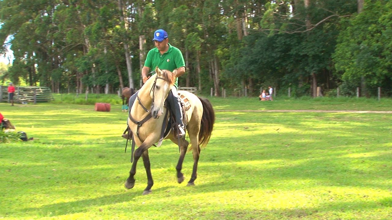 TV UC - 4 exercícios para o cavalo ficar leve de boca