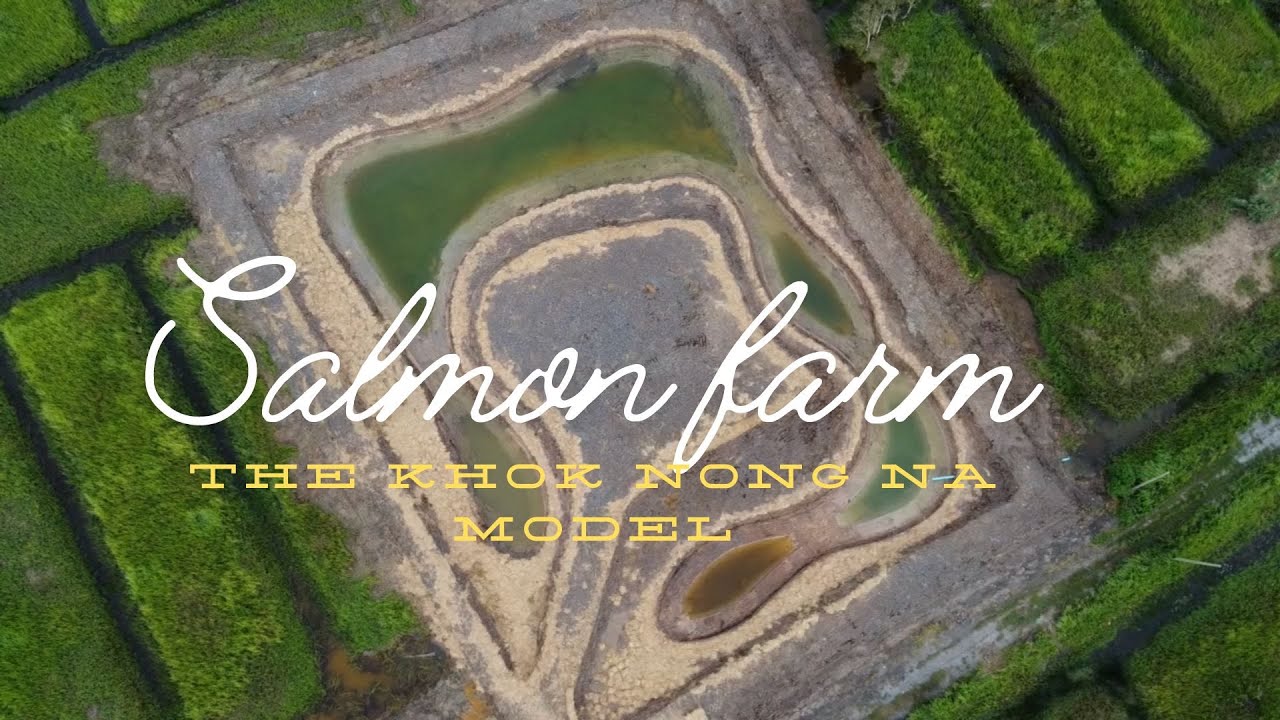 Salmon Farm : The Khok Nong Na Model