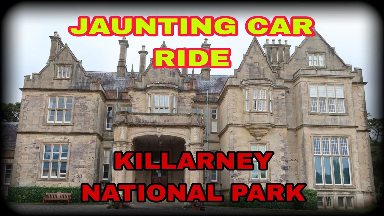 Jaunting Car Ride at Killarney National Park, Co Kerry, Our Summer trip