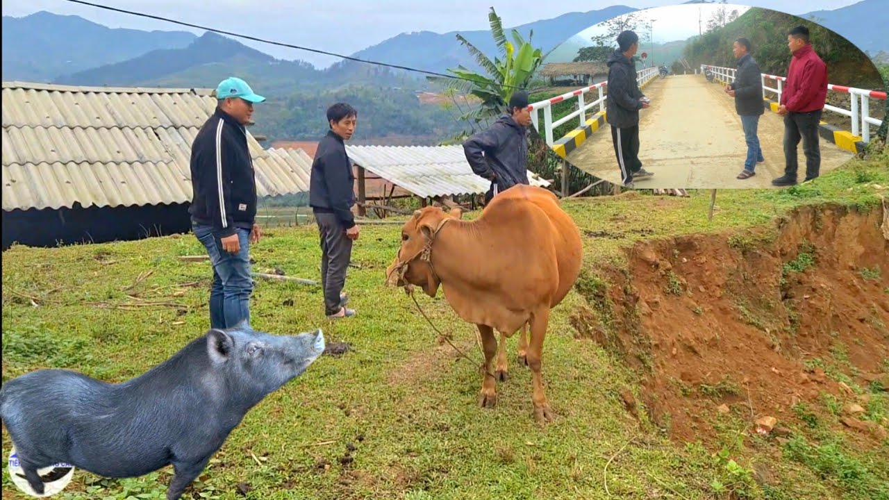 Lên bản tìm thực phẩm sạch cho buổi lễ khánh thành Cầu Khe Trang - Thông báo A Chinh chuyển công tác