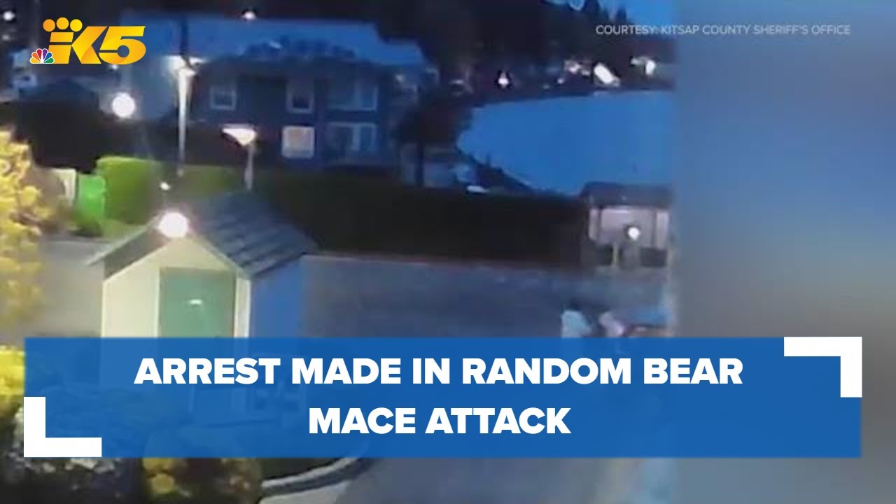 Arrest made in random bear mace attack in Kitsap