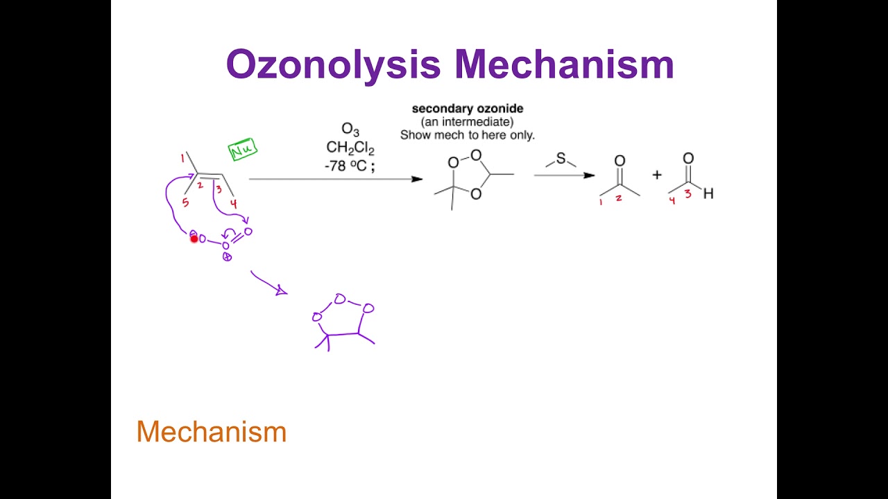 Ozonolysis of Alkenes (C=C): The Mechanism