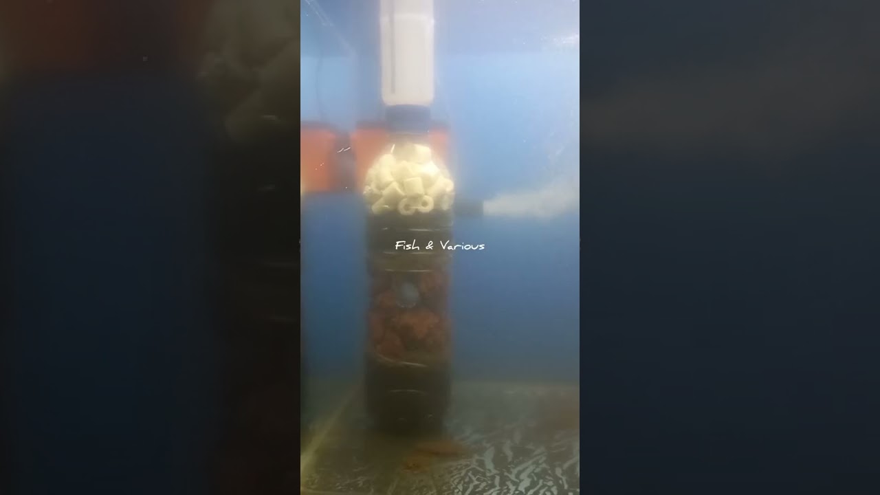 Double filtration system | Aquarium filter DIY
