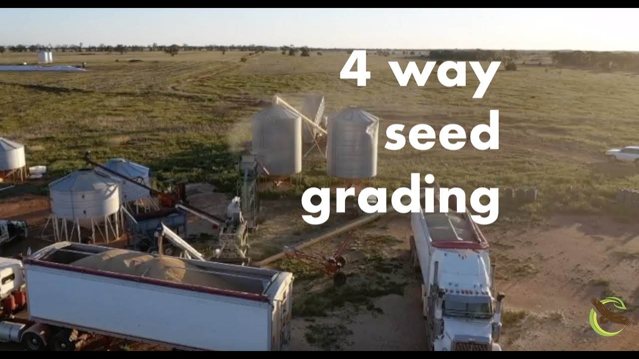 4 Way Seed Grading with Martin Williams - Regenerative Farming a Farming Revolution in Australia