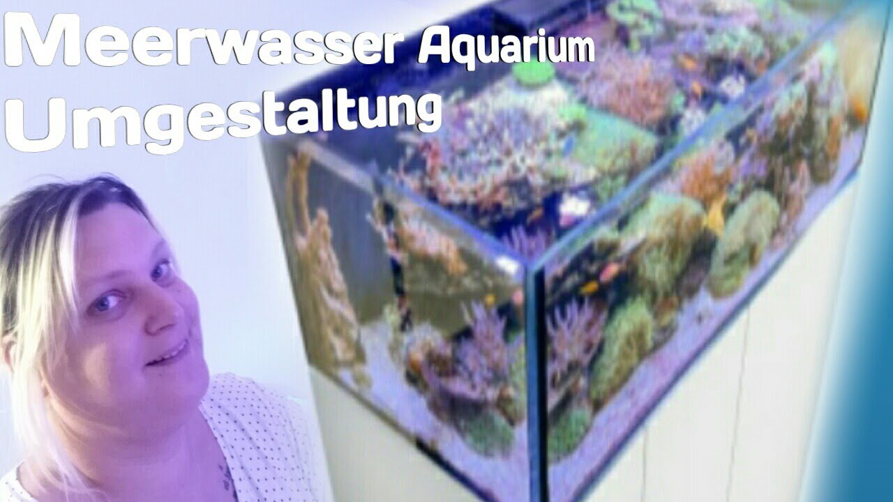Umgestaltung Meerwasser Aquarium  (Plus neuen Sand)