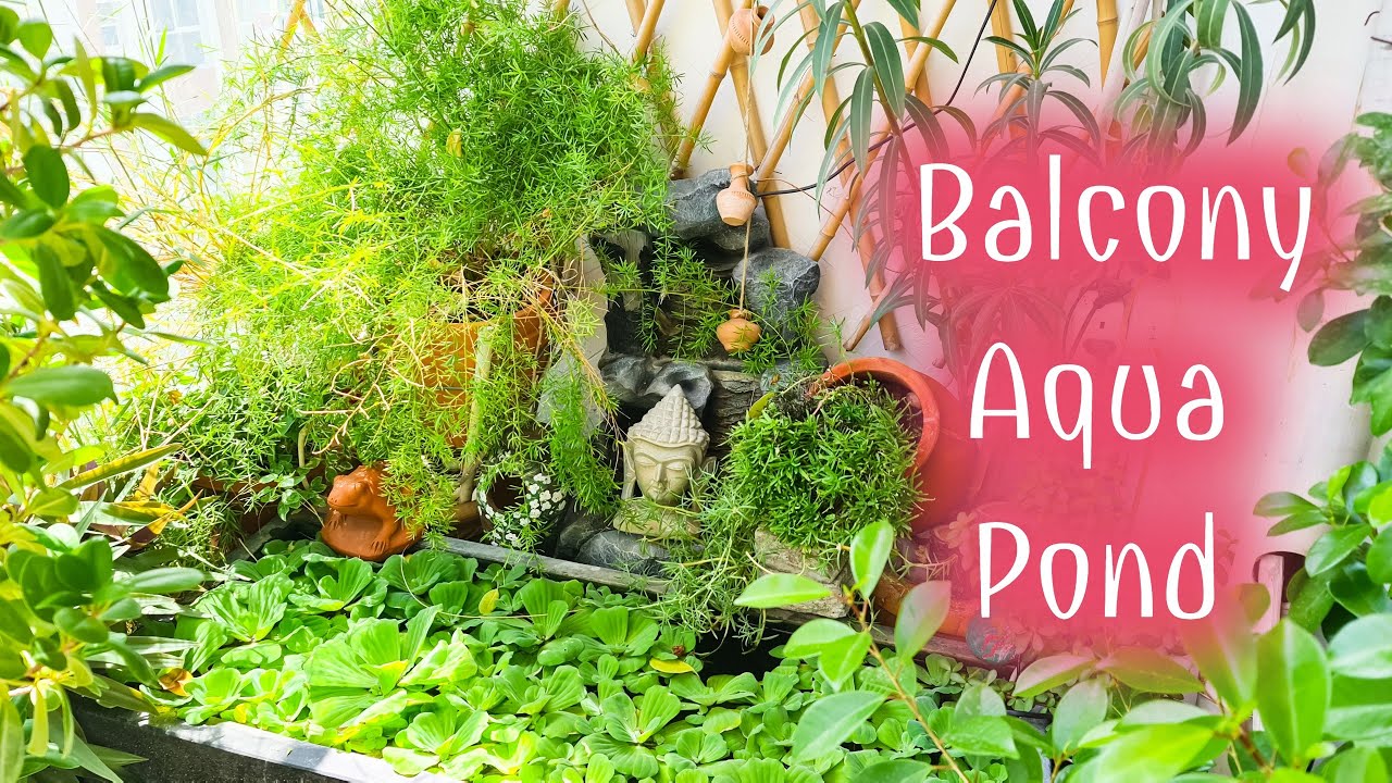 DIY Balcony Aqua Pond
