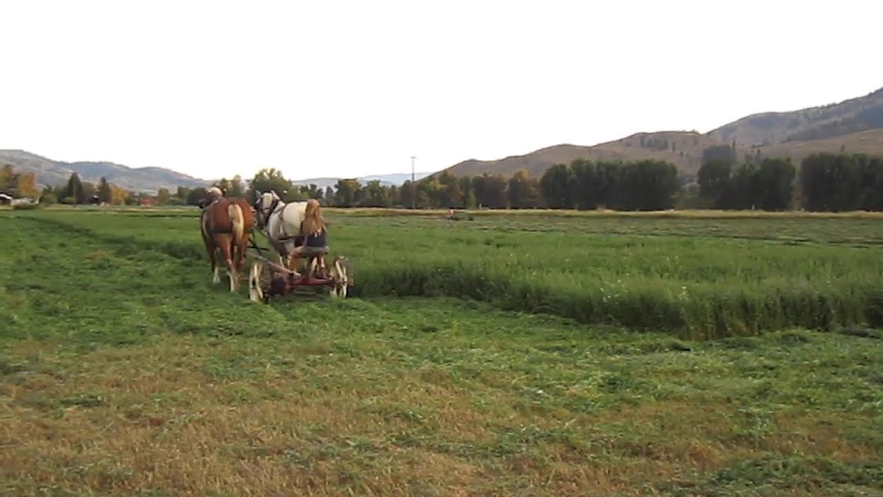 Mowing Hay with Horses