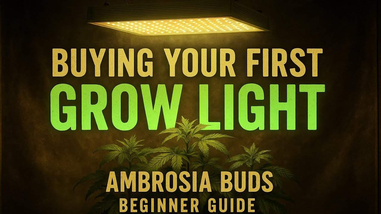 Tips For Buying Your First Grow Light For Growing Cannabis Indoors