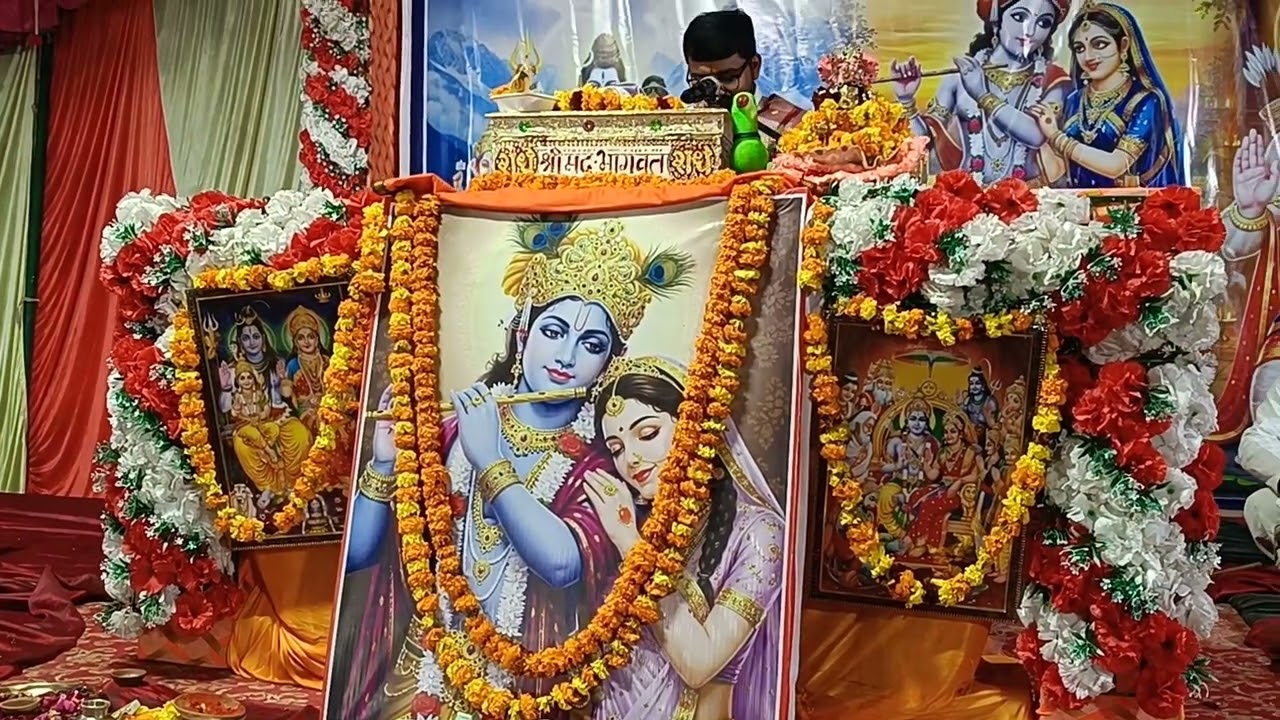 (श्रीमद् भागवतकथा) शिव #विवाह झांकी