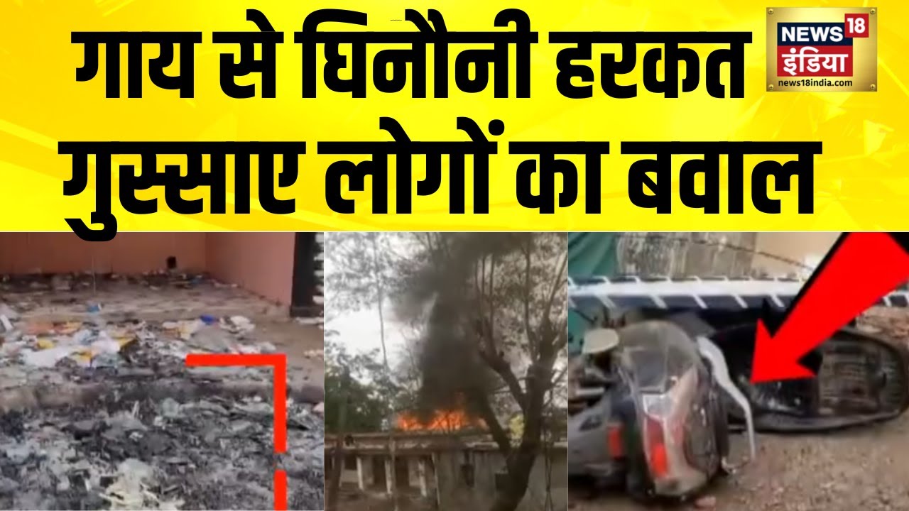 मुस्लिम युवक की गाय से घिनौनी हरकत का वीडियो वायरल | Betul | MP News | Hindi News