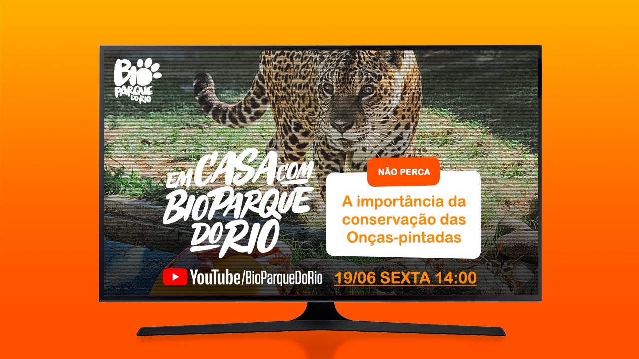 CONSERVAÇÃO das ONÇAS-PINTADAS e sua importância / Em Casa com BioParque do Rio