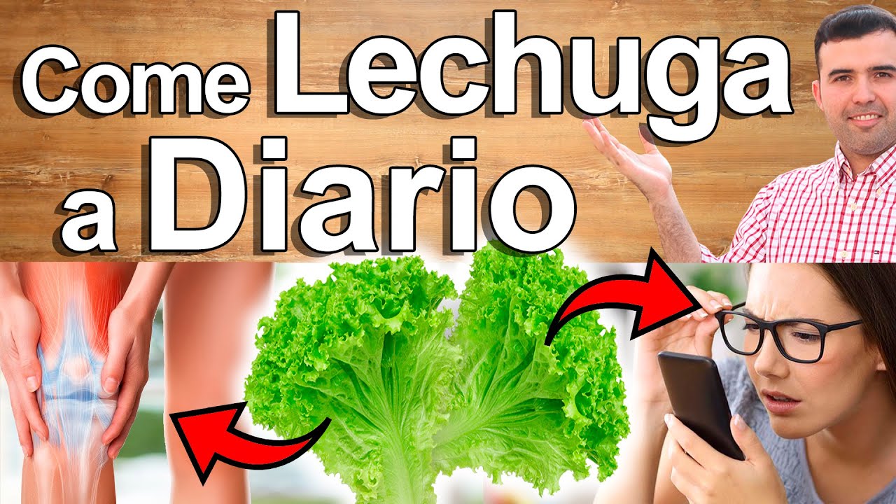 3 Lechugas Diarias - Beneficios Y Propiedades De La Lechuga Normal Y Romana Para Tu Salud Y Belleza