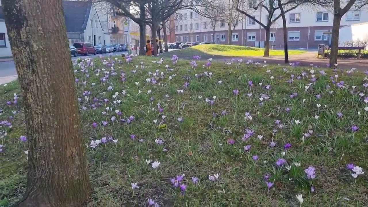 Каждый день заботы/ но весна радует. 