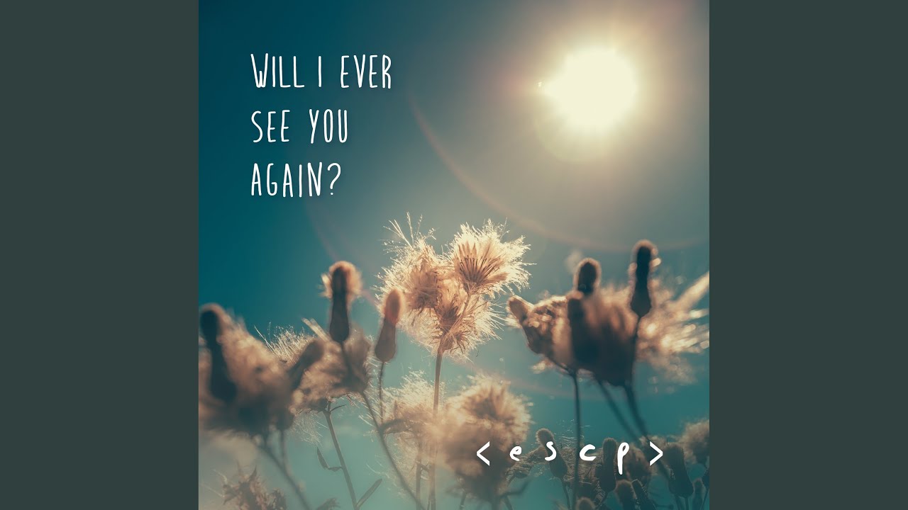 Will I Ever See You Again?