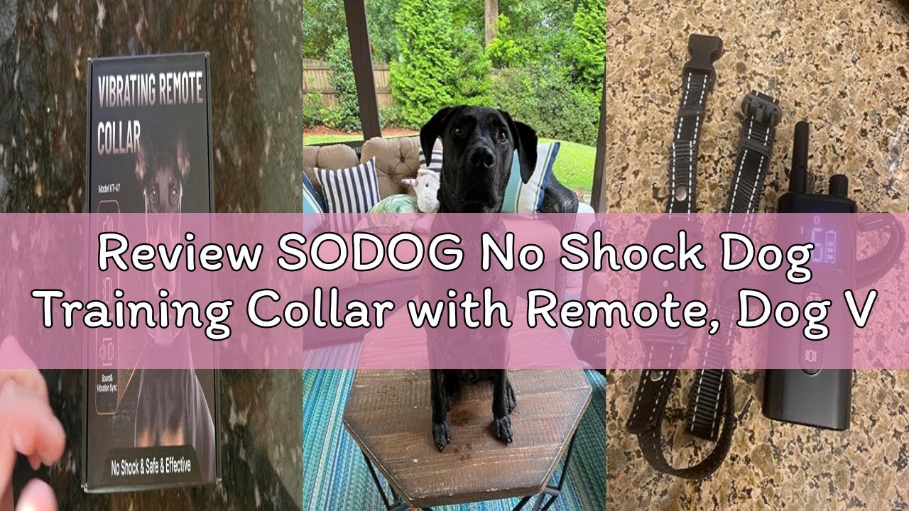 Review SODOG No Shock Dog Training Collar with Remote, Dog Vibration Collar with Controller Beep and