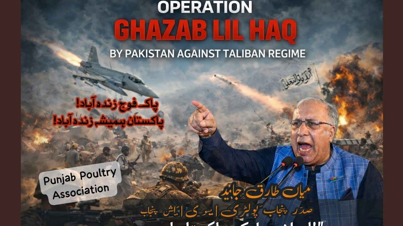 مرغی منڈی 🚨 | آج کے تازہ ریٹس سامنے! مرغی کی قیمتیں کیا ہیں؟ مارکیٹ پوزیشن رپورٹ📊