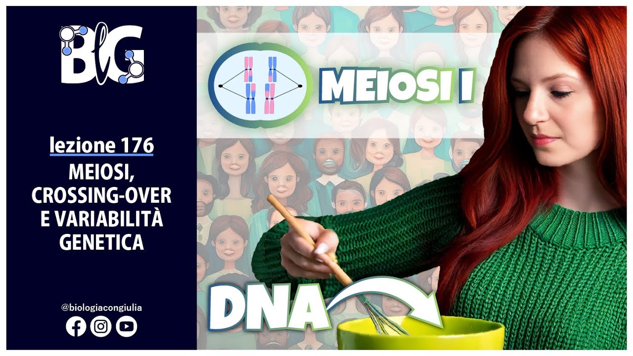 MEIOSI, CROSSING-OVER e variabilità genetica