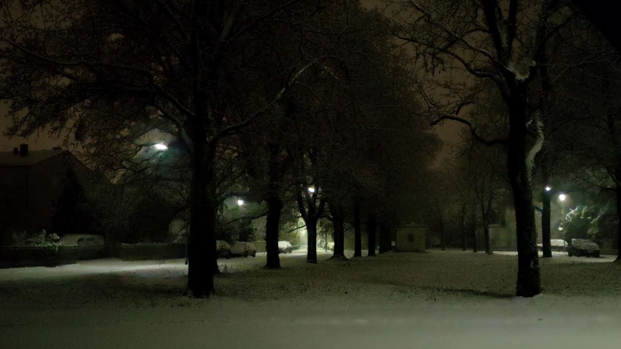 Erneut Starker Schneefall über Ingolstadt am 29.01.2026 - In den Frühstunden (TEIL) (1)❄️❄️❄️❄️