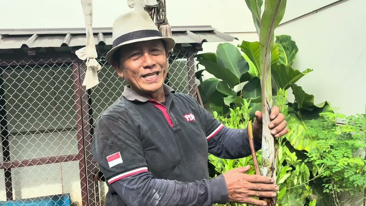 “ Menanam Harapan di Halaman Belakang Rumah🎋”