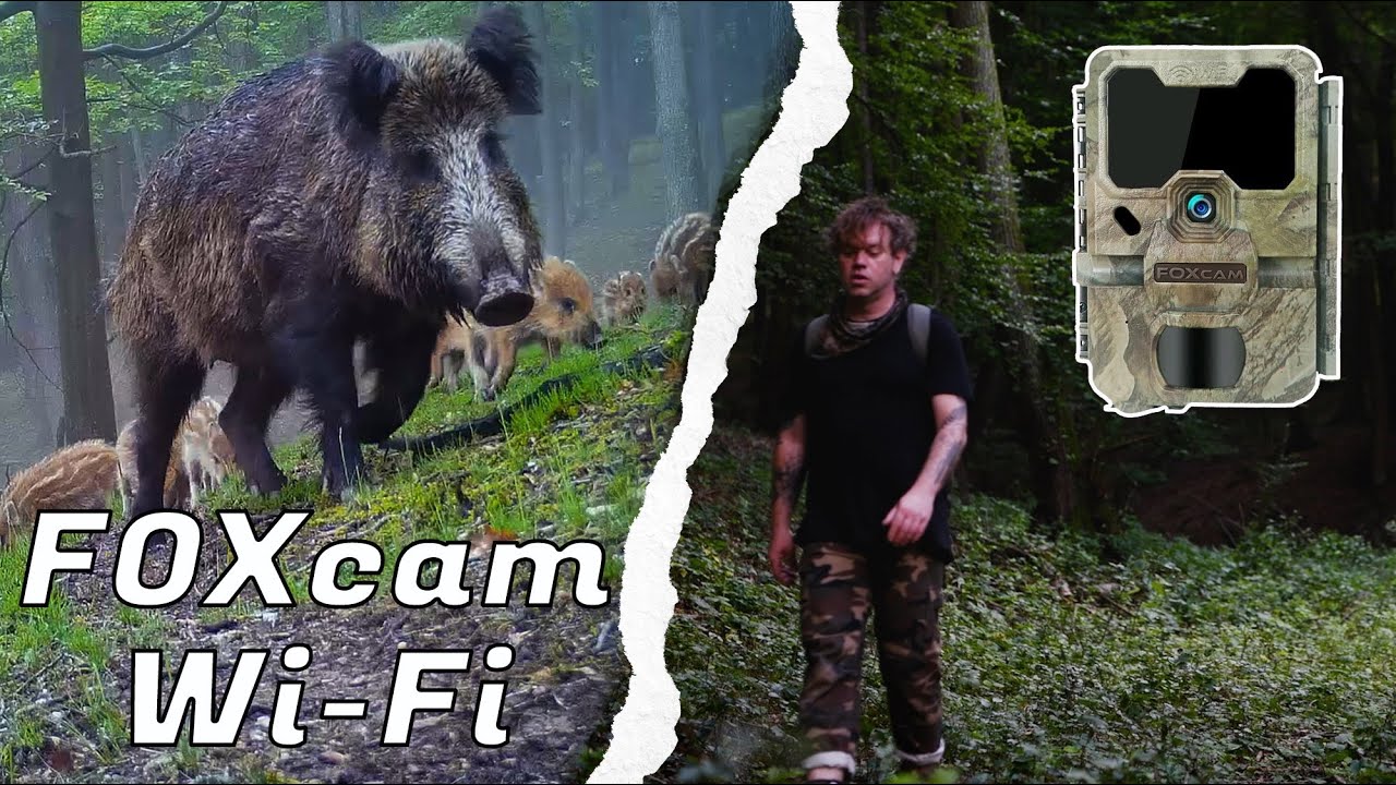 perfect Trail camere around 100e - FOXcam Wi-Fi