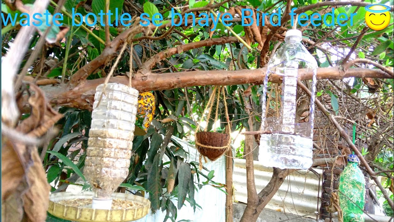 Bird feeder from plastic bottle | how to make Bird feeder | waste plastic bottle se bnaye  Bird Home