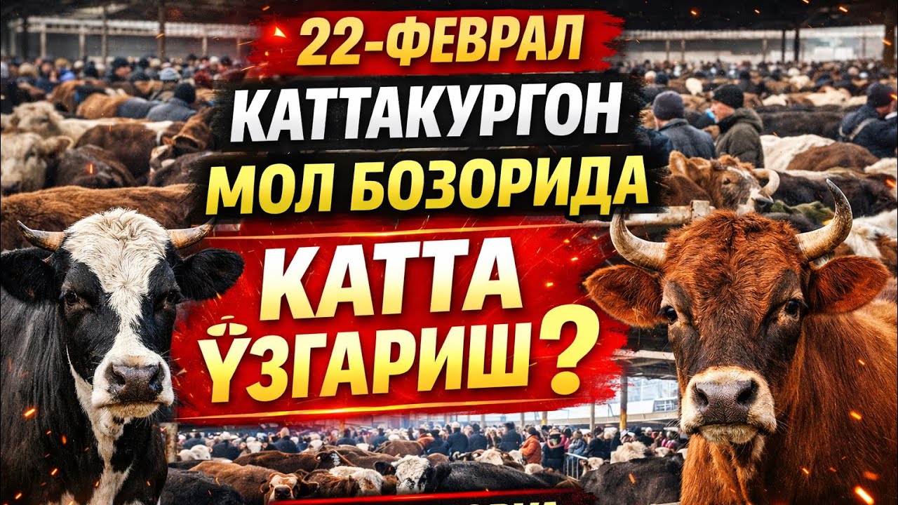 нархлар канчалик узгарди❓март ойида нарх ошадими❓