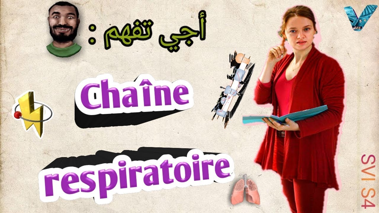 Biochimie métabolique en arabe, partie des {glucides}, Chaine respiratoire SVI S4.