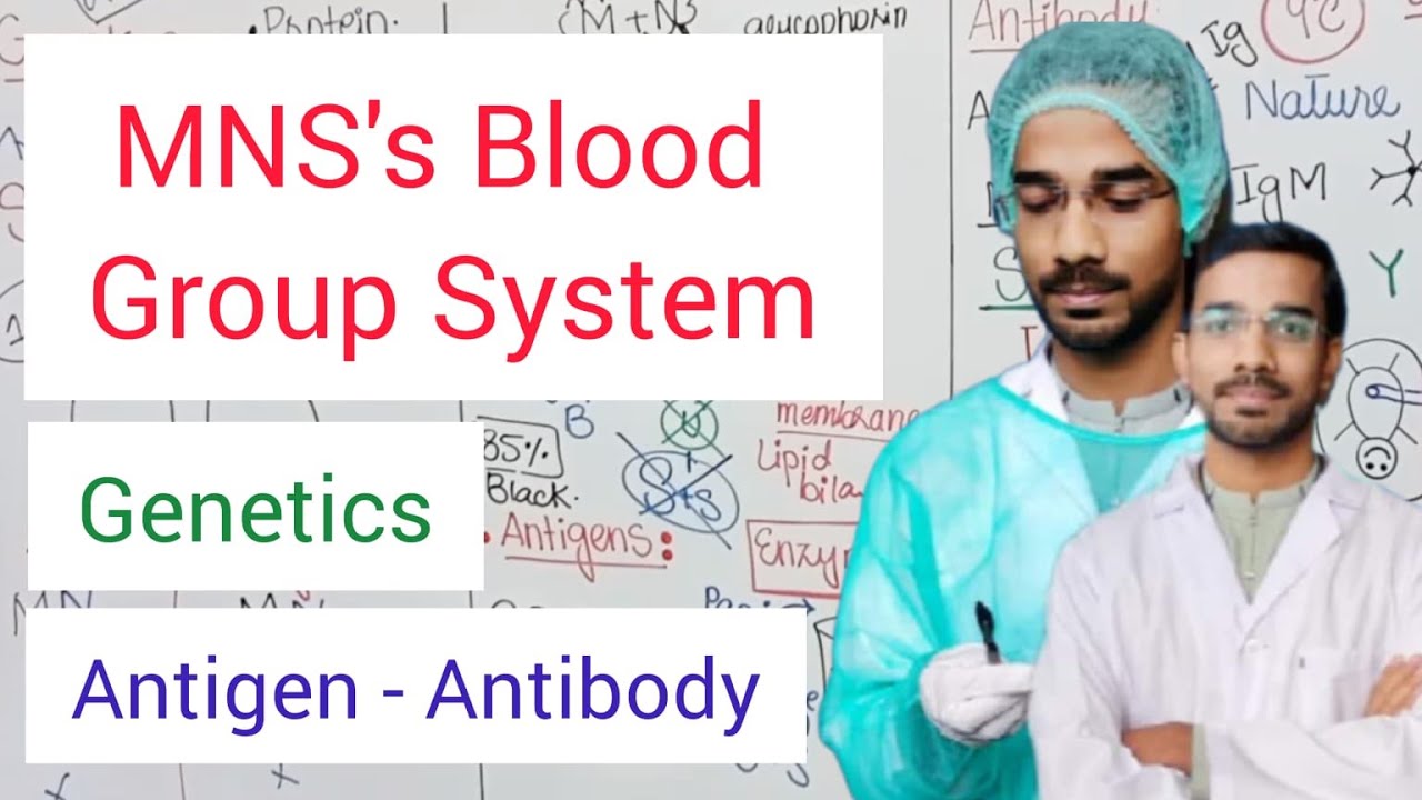 MNS's Blood Group System