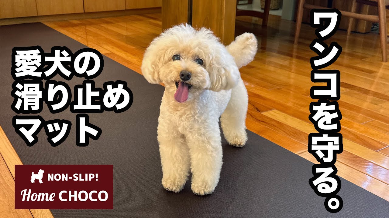 愛犬の滑り止めマット ホームチョコVer.III （HOMECHOCO III）