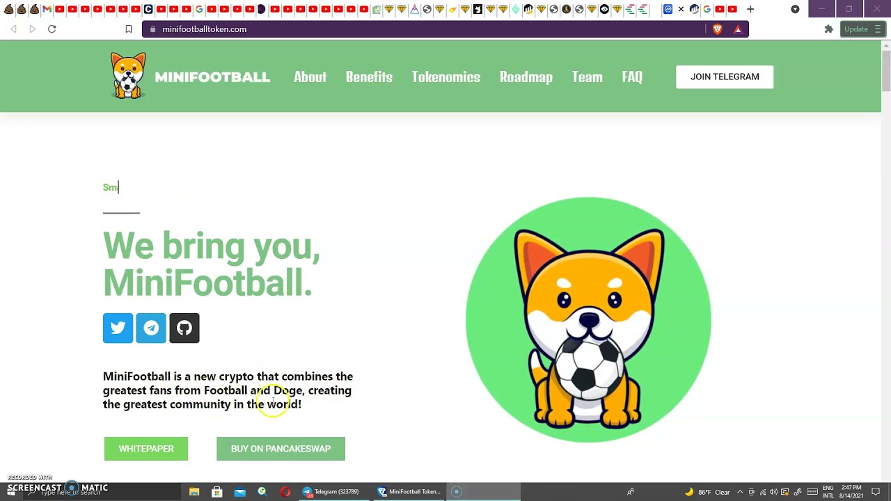 Mini Football Doge | Tokenomics | Playstation 5 Give Away |