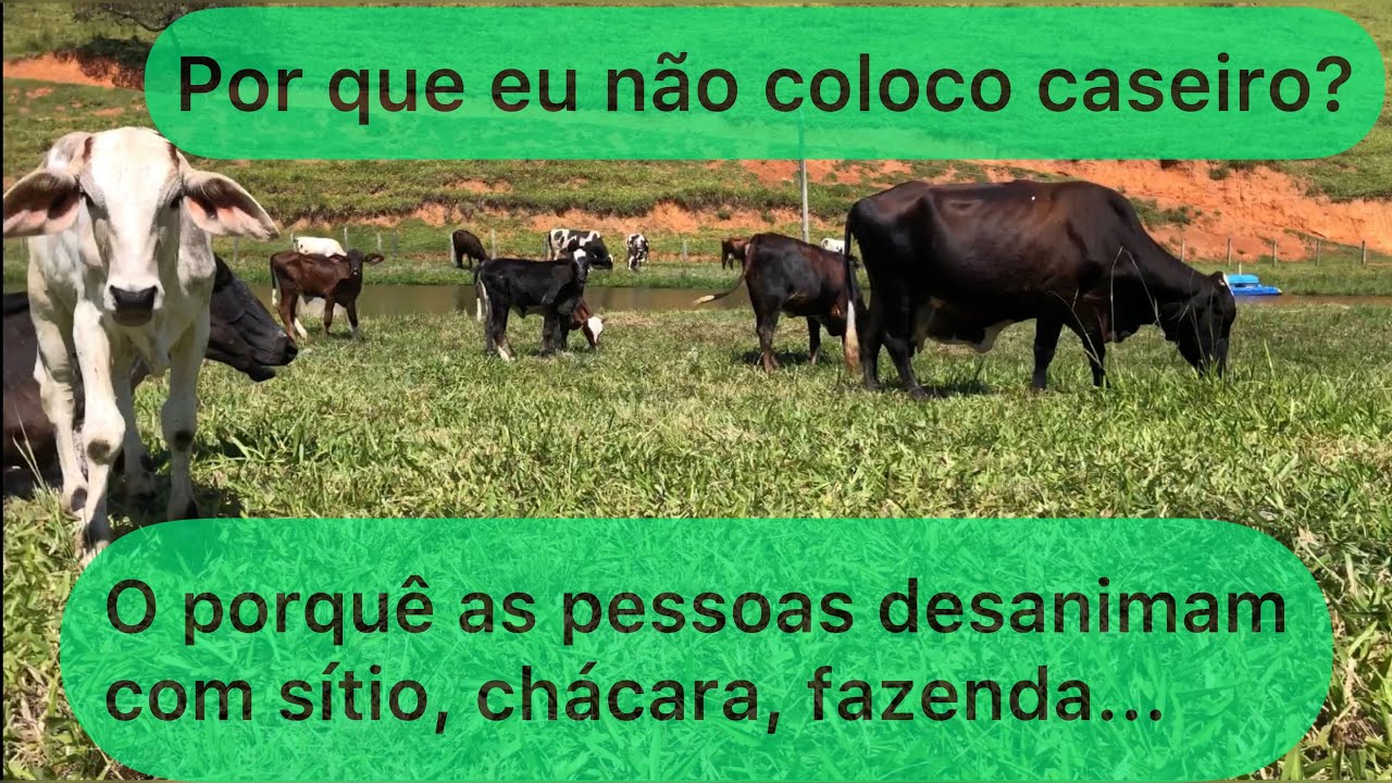 Por que eu não coloco caseiro? O porquê as pessoas desanimam com sítios, chácaras, fazendas...