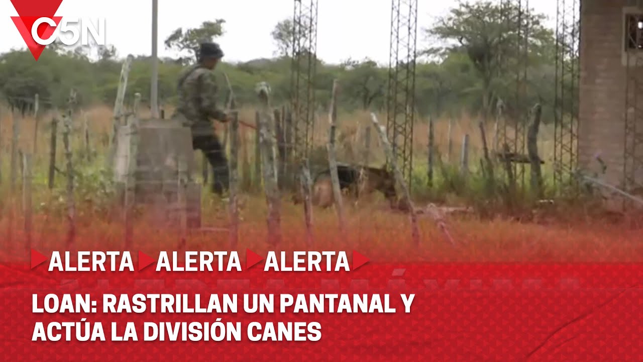 BÚSQUEDA de LOAN: RASTRILLAN UN PANTANAL y ACTÚA la DIVISIÓN CANES