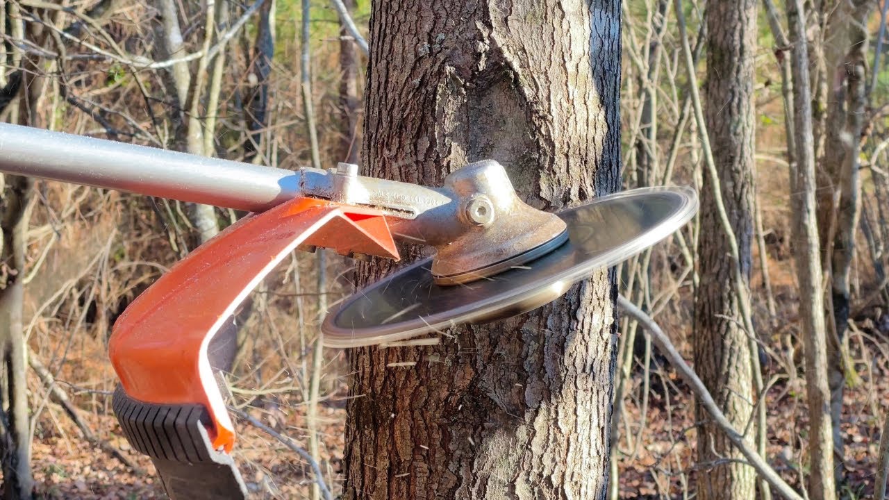 Forester Chainsaw Tooth Brush Cutter Blade In Action (REAL TIME)