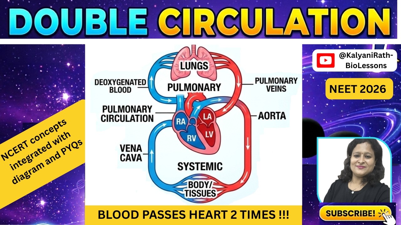 Everything about Double Circulation & Hepatic Portal System | NCERT Simplified | NEET 2026
