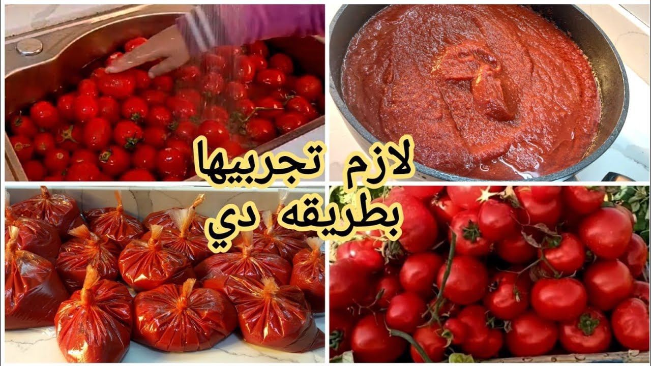 أول تفريزات رمضان 2025🌿 أنجح وأسرع طريقه لعمل صلصه الطماطم بتكات جديده أول مره تعرفيها