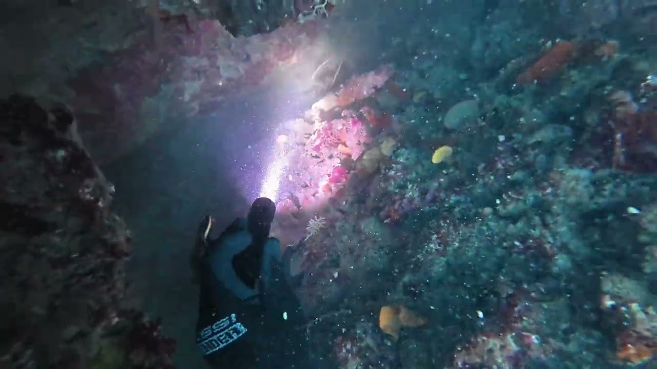 Cray Diving Perth 2025