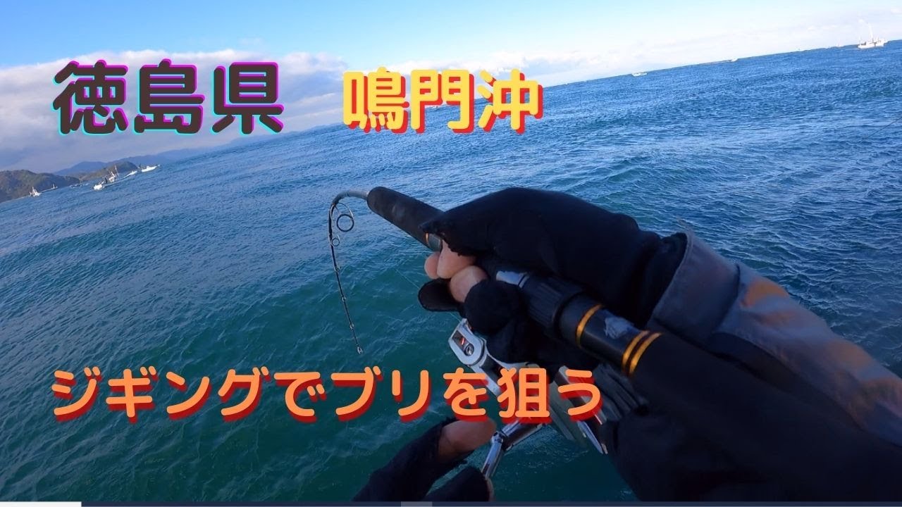 鳴門沖にはブリがいた！　爆釣報告