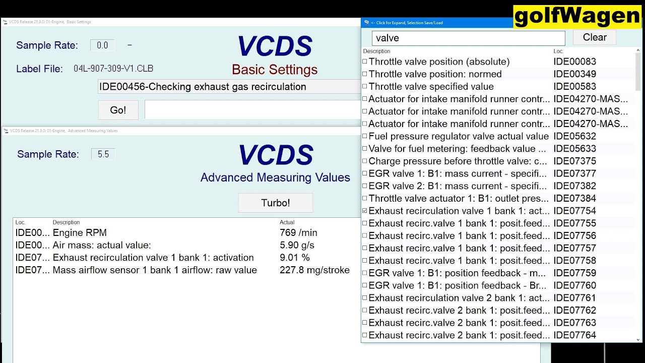 1.6 TDI test EGR deviation VCDS MQB