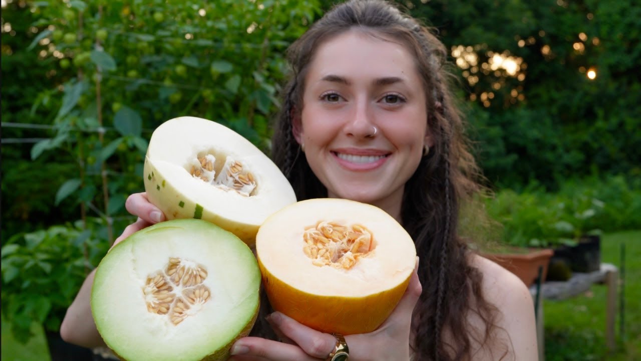 Trying Exotic Fruits for the First Time!