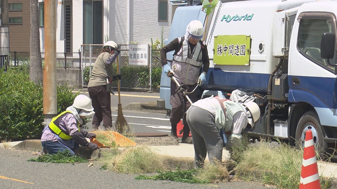 道路や歩道の雑草伸びすぎ!?　除草作業進むも…同じ道路で異なる管理